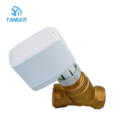 Thiết bị truyền động tuyến tính điện áp thấp 24 Volt Thiết bị truyền động tuyến tính động cơ điện